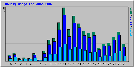 Hourly usage for June 2007