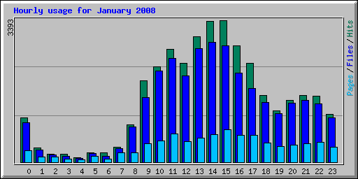 Hourly usage for January 2008